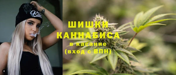 мдпв Волоколамск